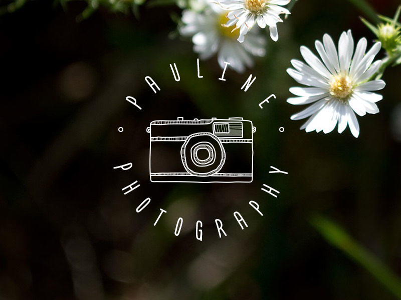 100 Logo Templates For Photographers Free Download