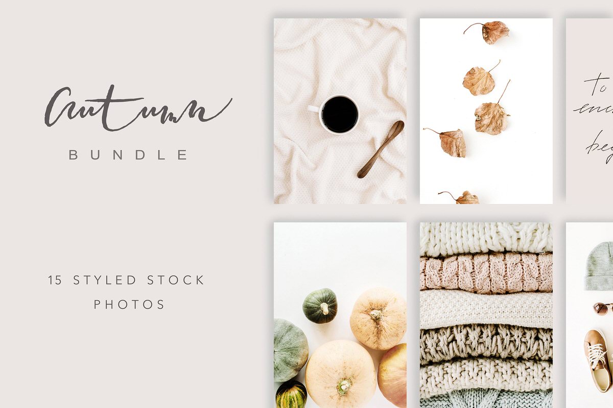 Autumn or fall themed styled stock photography.