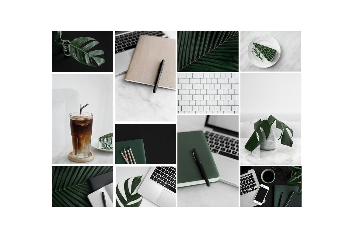 Black and white styled stock photos with rich green and neutral accents. Stock photography for entrepreneurs.