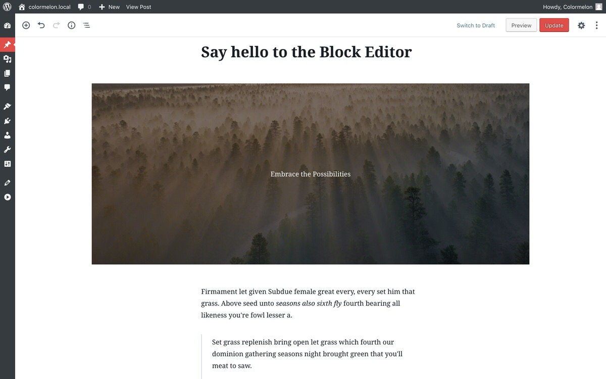 WordPress Koji theme and block editor for WordPress