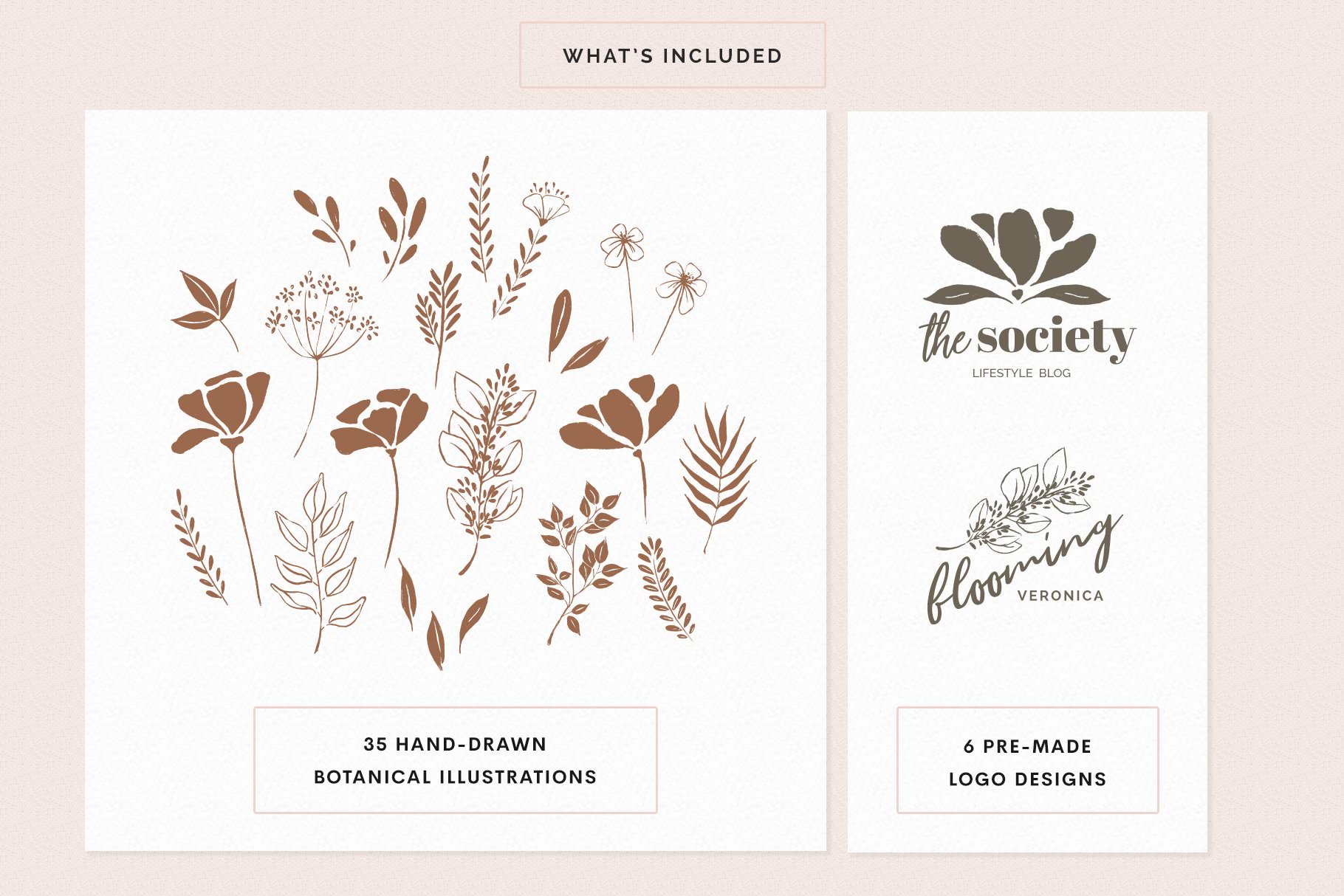 botanical-illustrations-and-logo-designs- | Colormelon