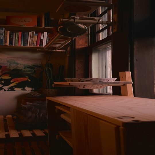 A room with book shelf