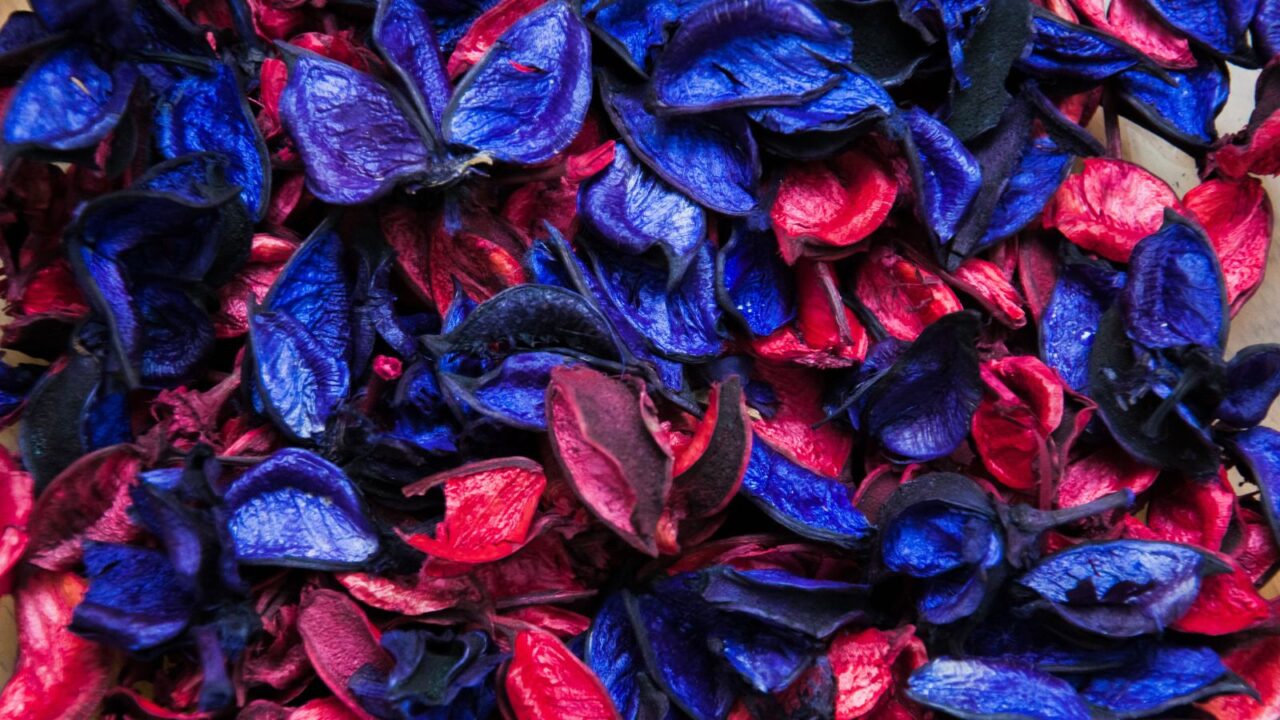 Patriotic Potpourri for a Sensory Experience