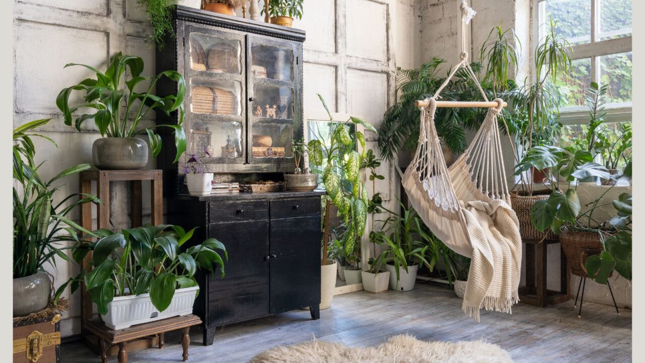 plants and nature in room