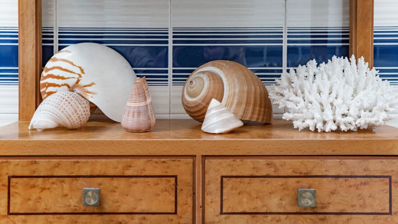 Seashell and coral shelf decor