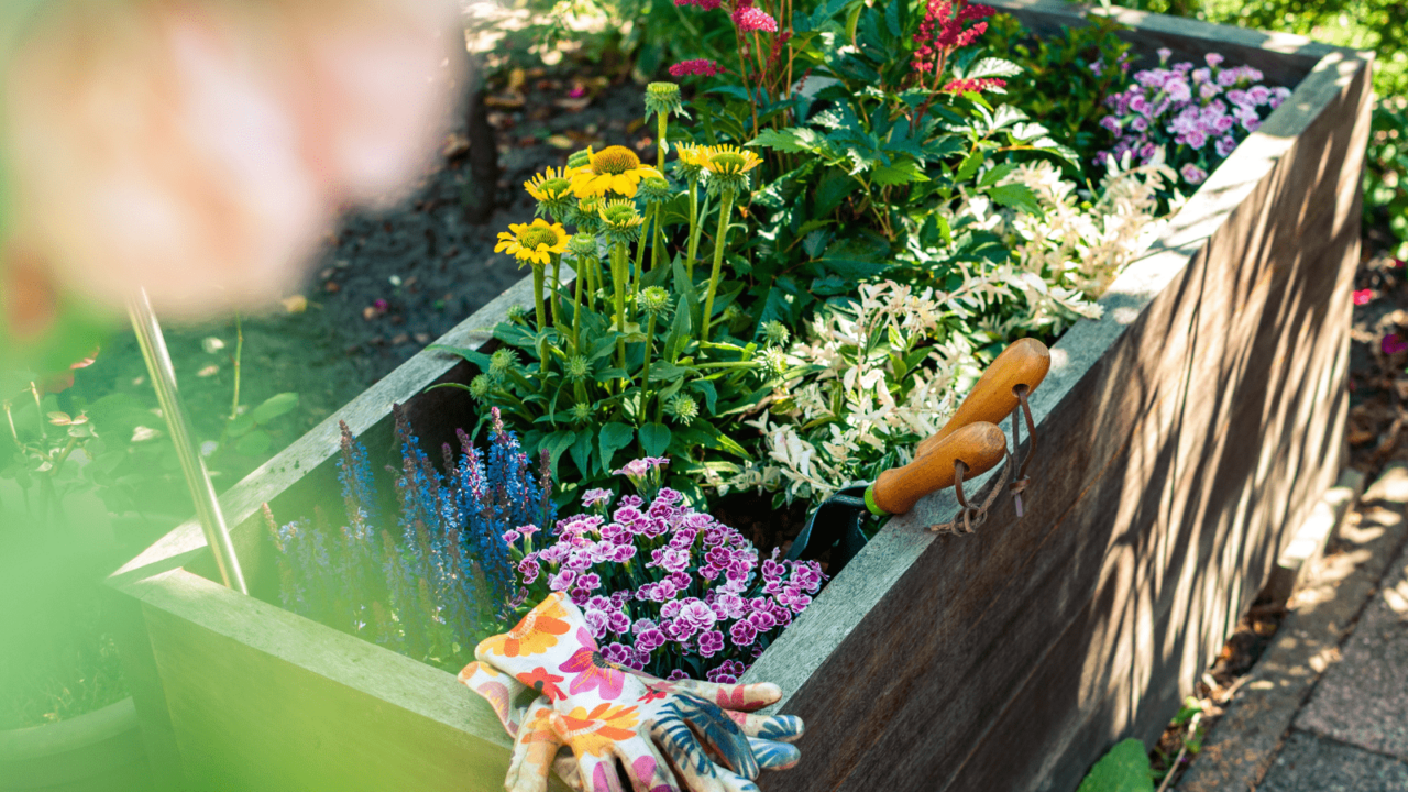 Flower box