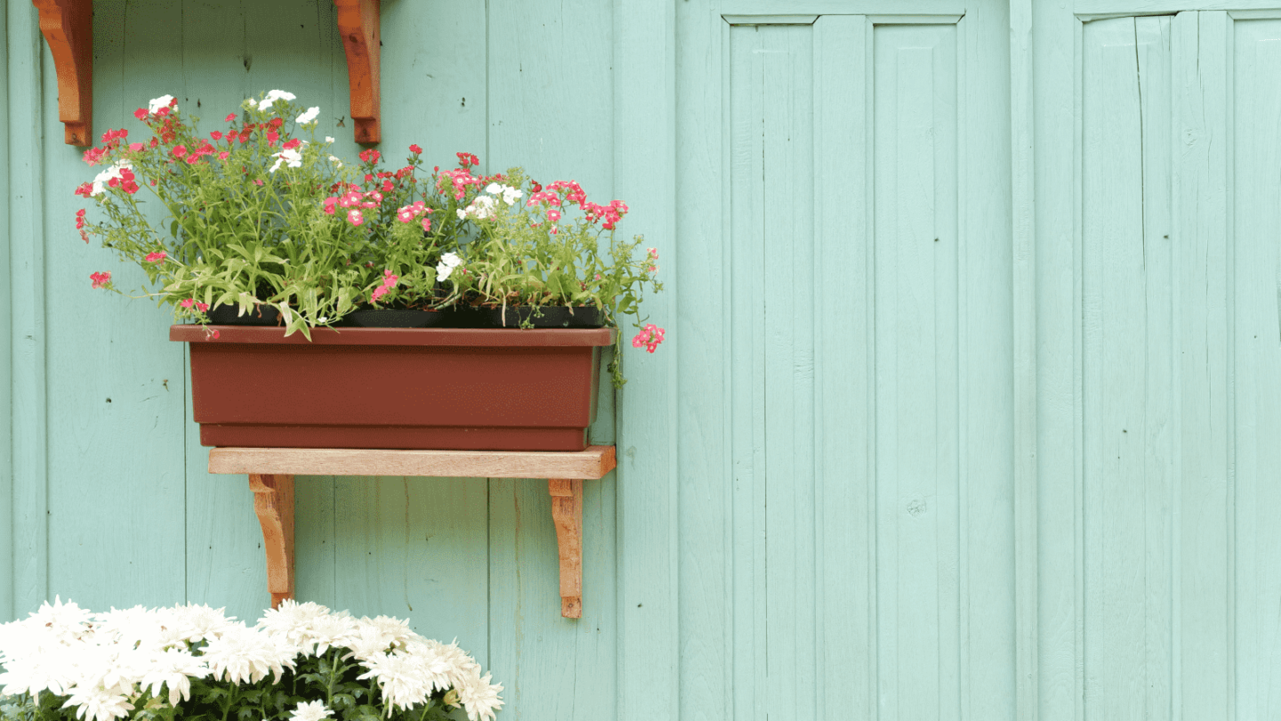 are-biophilic-bathrooms-in-trend-these-days-colormelon