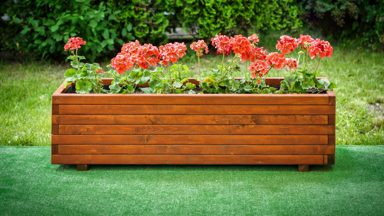 Plants in wooden box