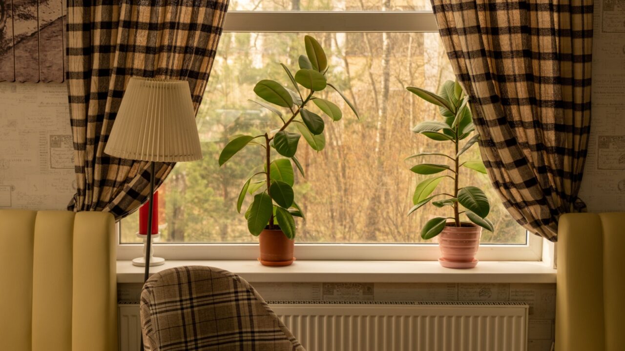 A cozy picture in brown and green tones. A window with ficuses, checkered curtains, a cozy armchair.