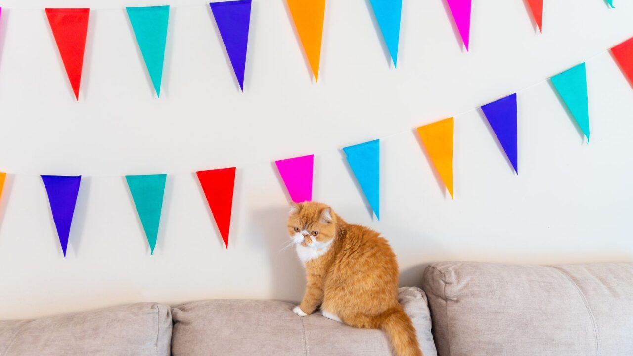 Colorful bunting