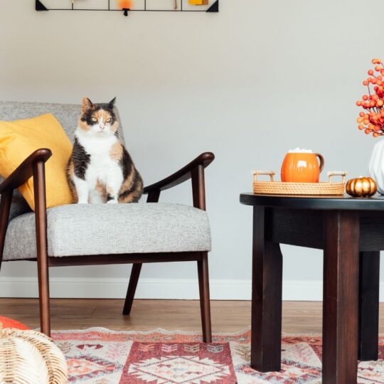 Prime Day Cozy Fall Living Space Deals