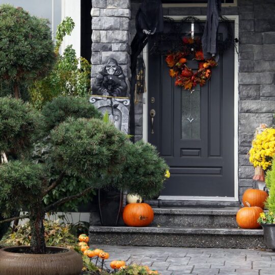 Cozy Fall Plants for Your Front Door