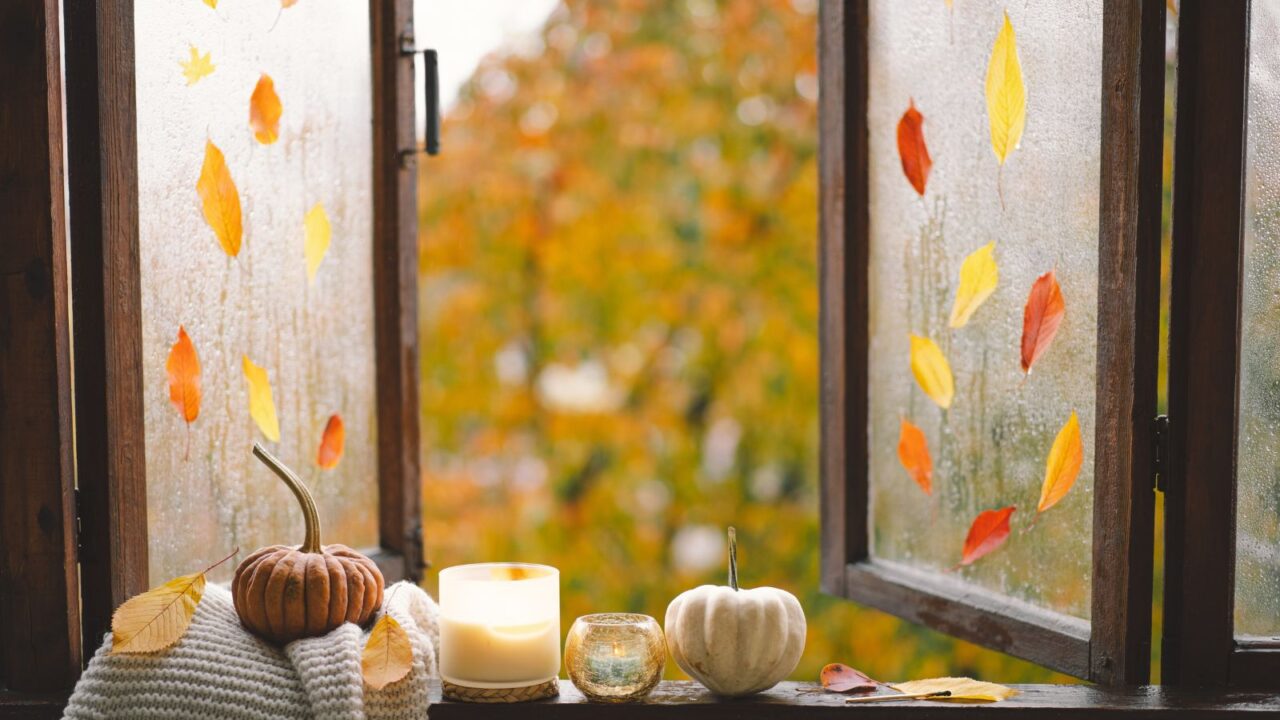 Dry leaves on window as decor