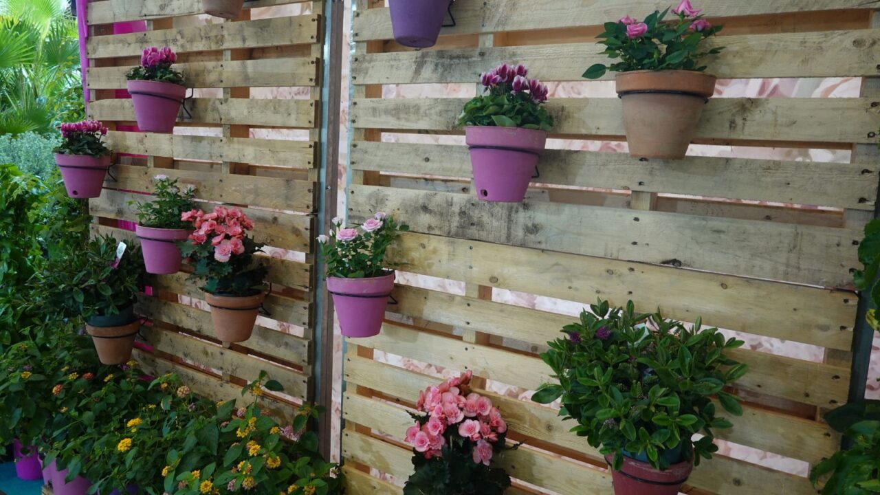 A wall of potted plants with a wooden frame. The plants are in various sizes and colors, including pink and purple.