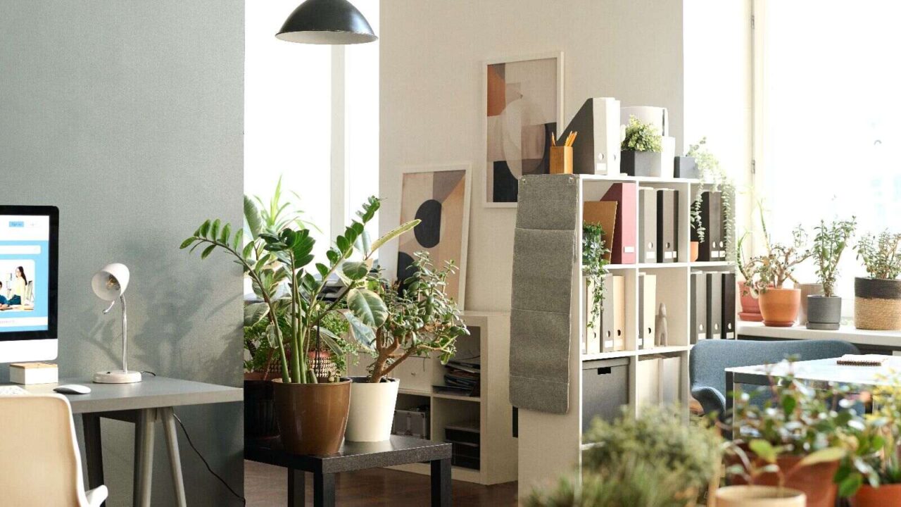 Background image of cozy contemporary office interior decorated with various green potted plants and copy space.