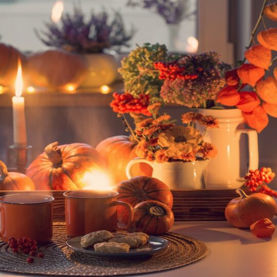 Is Your Fall Decor Inviting Bugs and Rodents?