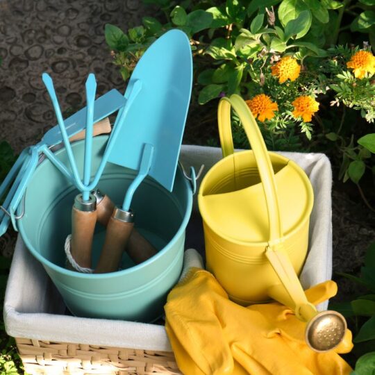 New to Gardening? Here’s Your 101 Starter Kit