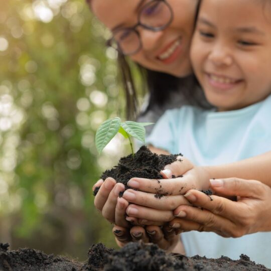 Fall Activities To Get Your Kids Into Gardening