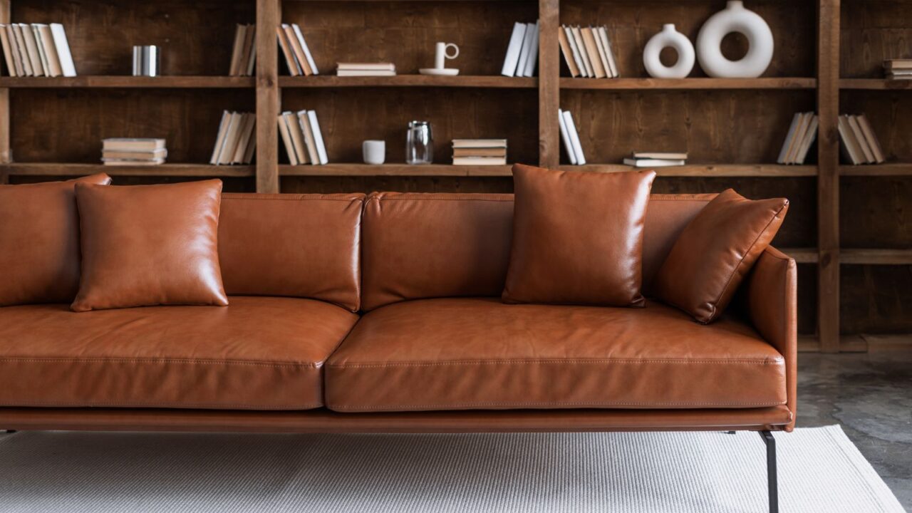 Comfortable sofa in library against collections books on bookshelves.