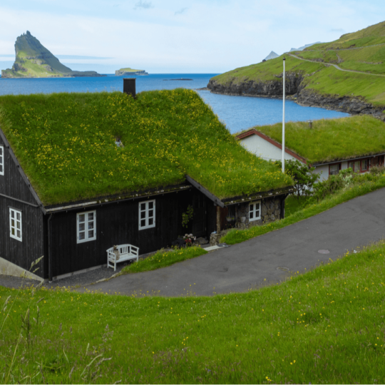 Why Green Roofs Are the Smart Modern Choice