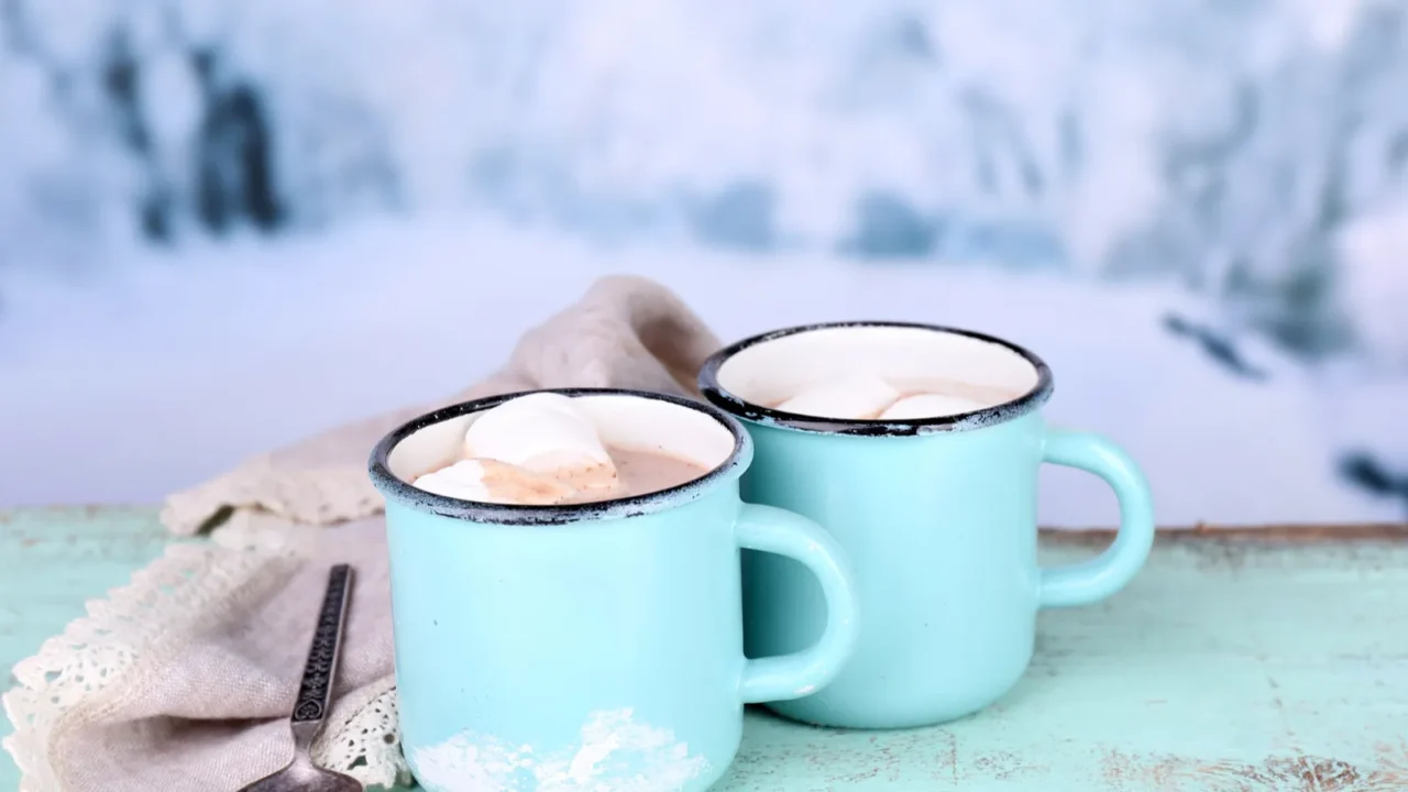 Cup of tasty hot cocoa