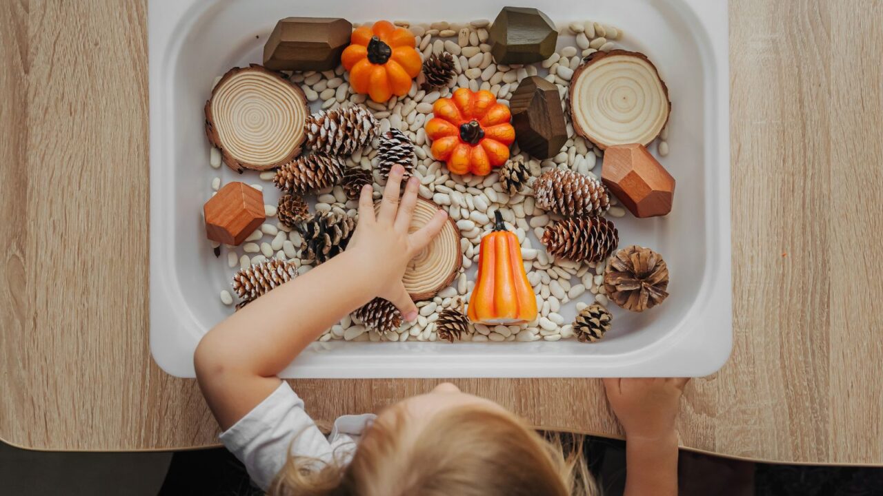 Fall sensory bin filled with pumpkins, cones and dried beans. Educational game. Learning through play. Sensory play ideas and Autumn nature crafts.