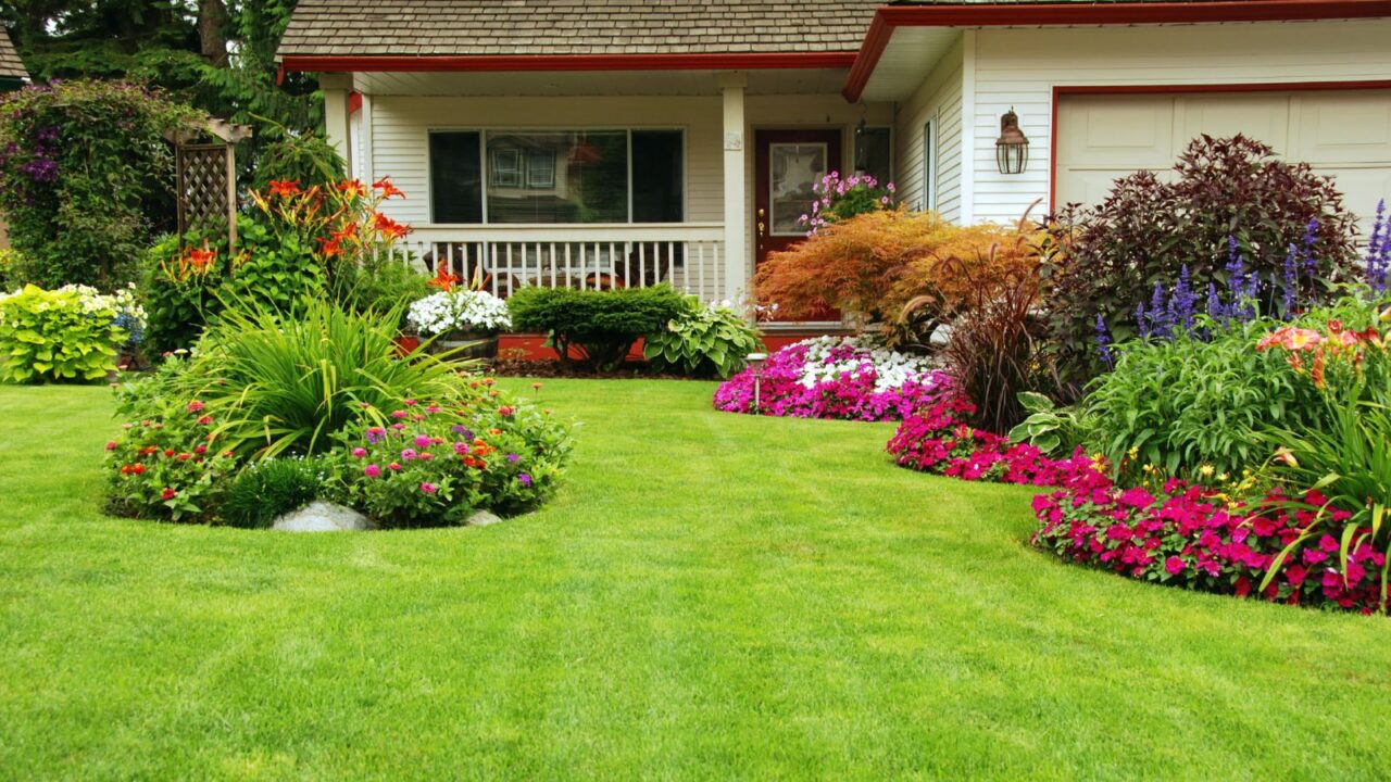 A carefully maintained home garden in full spring summer bloom. Flowering plants add color and appeal.