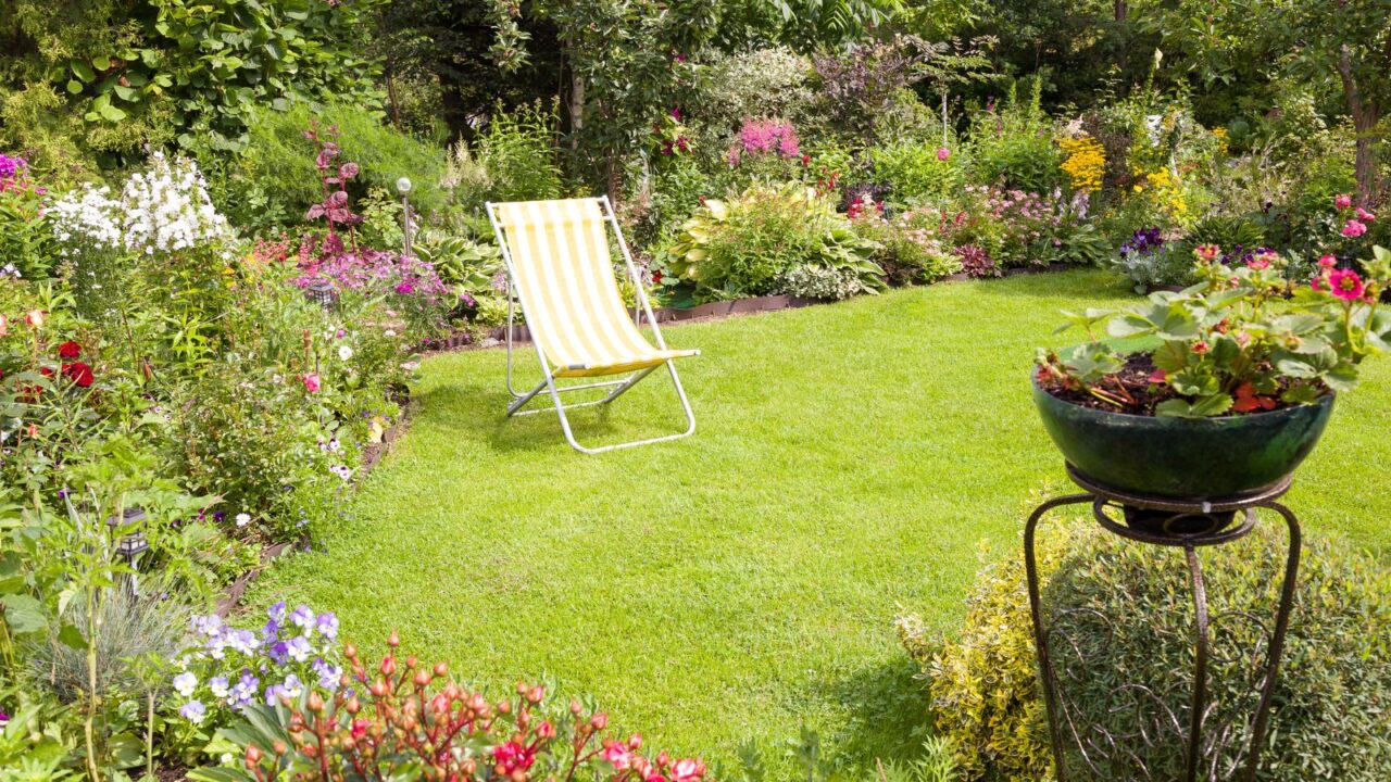 A garden chair on a green beautiful lawn.