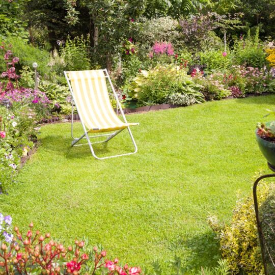 Simple Lawn Care Tips to Boost Your Home’s Value