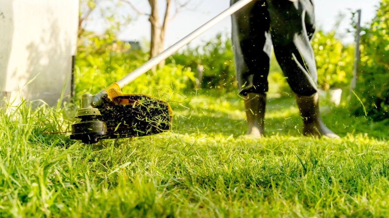 Man mowing grass with a trimmer in backyard. This is how the grass is trimmed with hand mower.