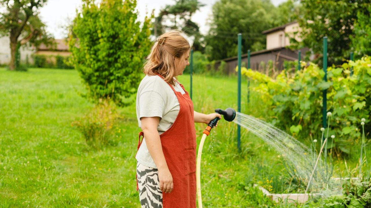 A woman is wearing an apron is watering the plants from hose.