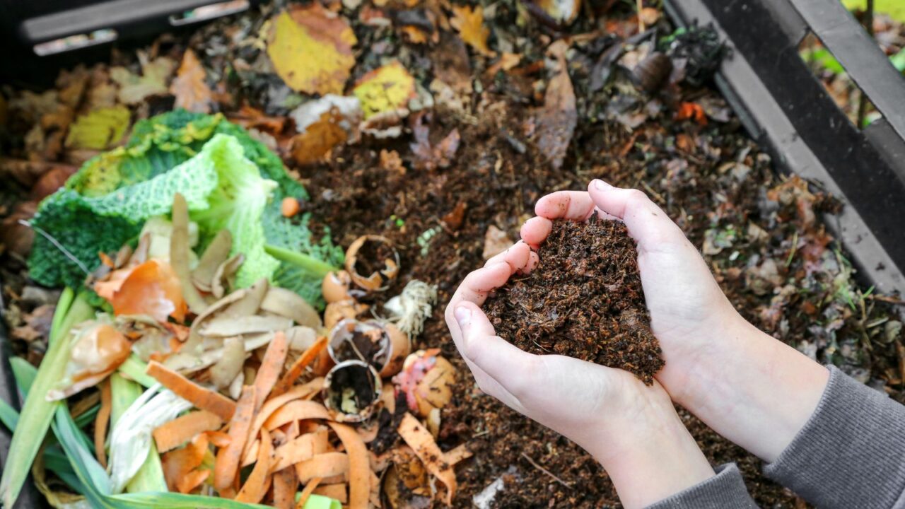 Hands holding compost above the composter with organic waste,