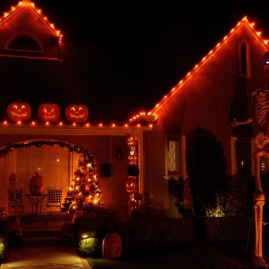 Pop Culture Halloween Decor To Haunt Your Home