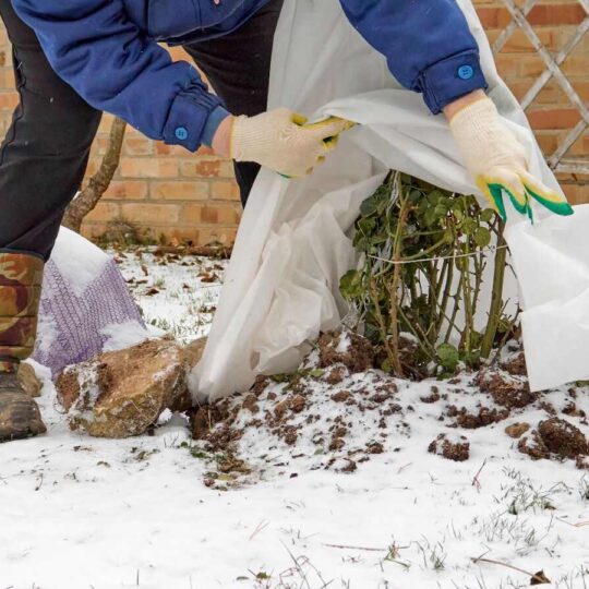 15 Steps to Prepare Your Garden for the Cold