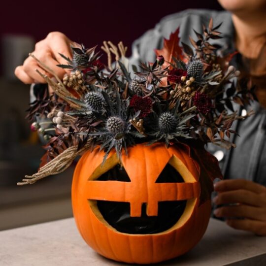 15 Spooky Plants to Enchant Your Halloween Home