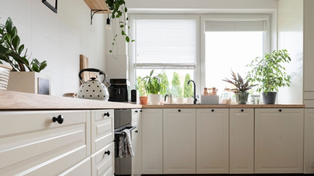 Modern kitchen with kitchen furniture, white cabinets and drawers, wooden countertop and plants.