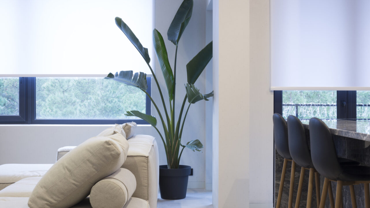 Roller blinds in the interior. Roller shades white color on the windows in the living room. A houseplant and a sofa are in the room. Motorized curtains in the smart home.