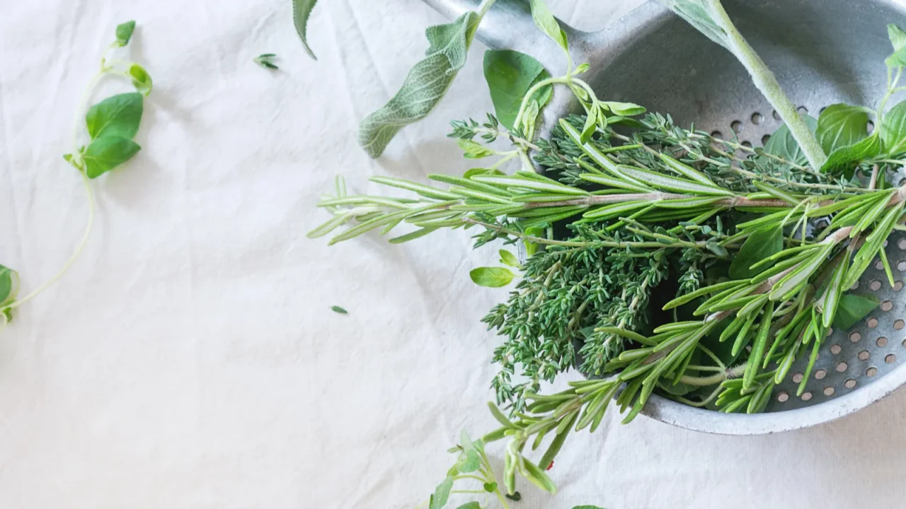 Assortment of fresh herbs. Rosemary and sage.