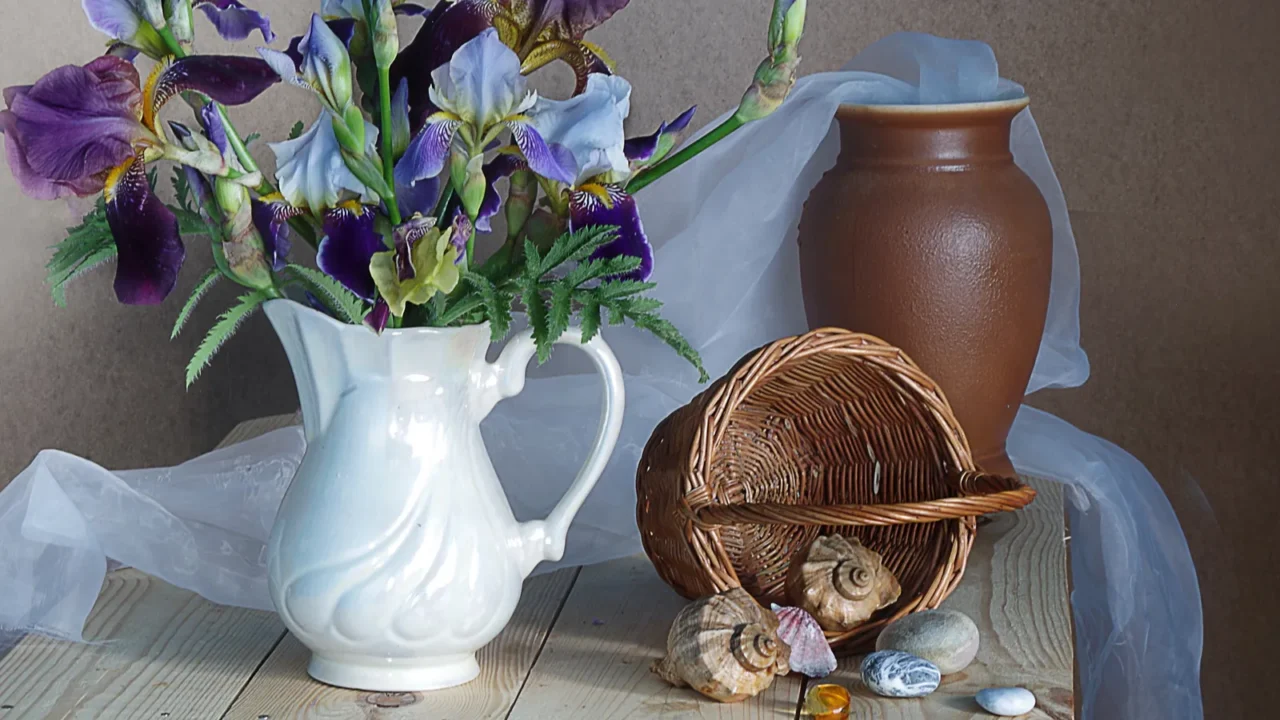 Bouquet of irises in a white vase and sea shells.Still life with flowers .