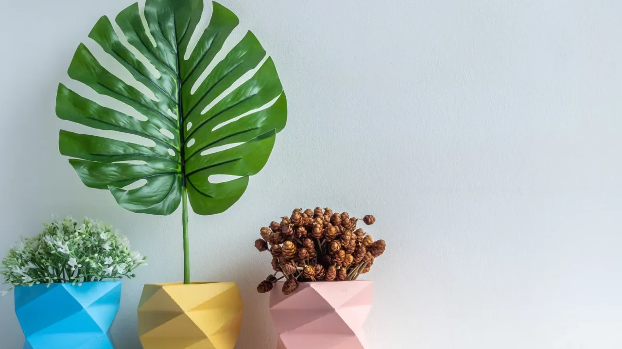 Cactus pot. Concrete pot. Three empty blue, pink and yellow modern geometric concrete planters with flowers, green leaf and dry flower on white wooden shelf isolated on white background with copy space.