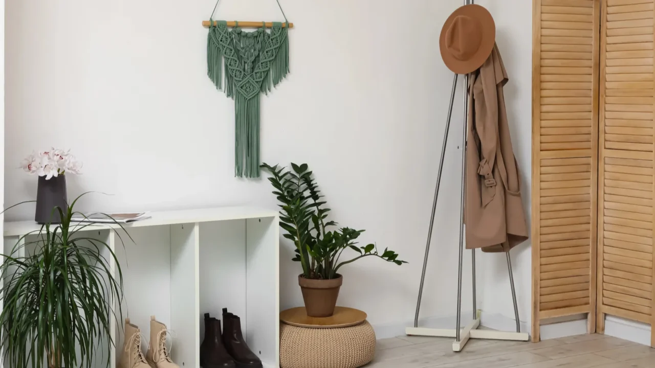 Interior of stylish hall with rack of clothes and houseplant near white wall