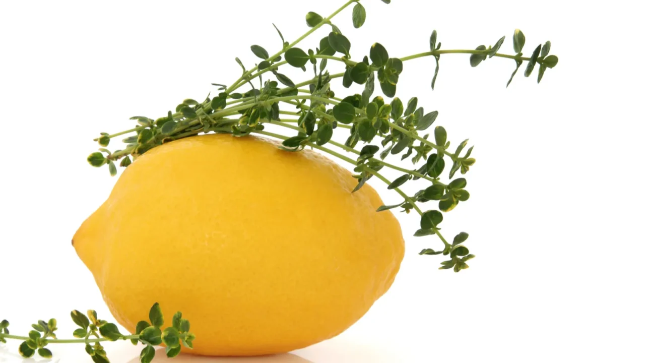 Lemon fruit and thyme herb.