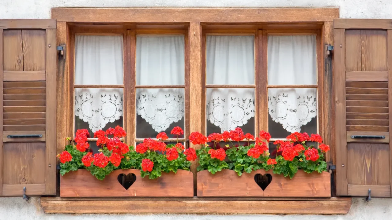 Old European Wooden Windows