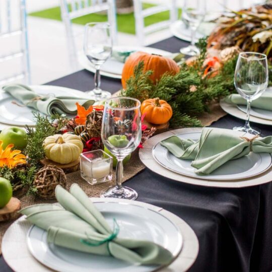 Ideas for Thanksgiving Dining Under the Stars