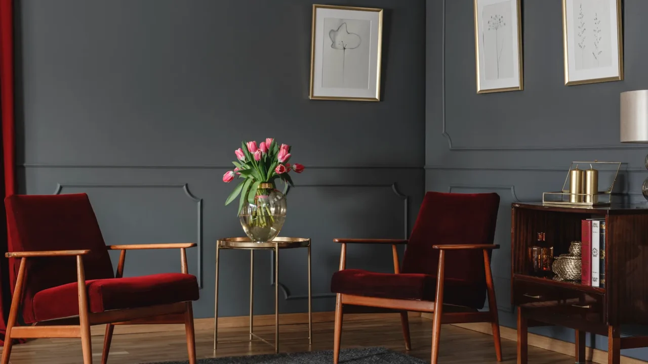 Spacious, elegant living room interior with molding on dark walls, red armchairs and lamp on a cupboard next to a ficus plant. Real photo