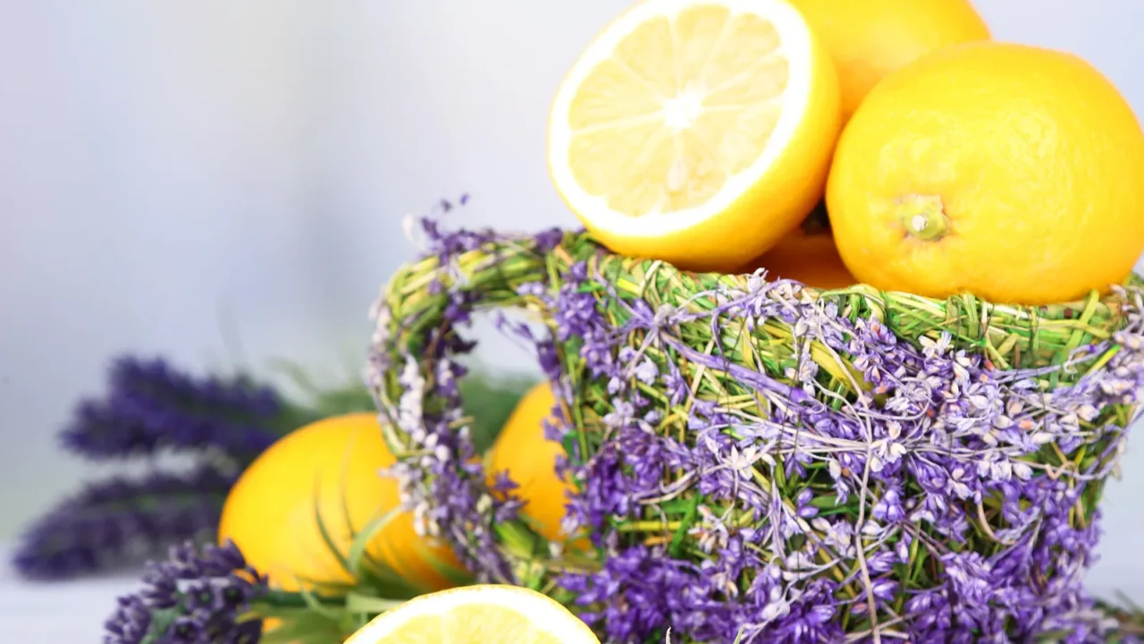 Still life with fresh lemons and lavender on light background