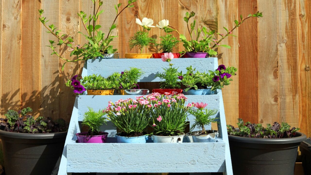 Summer flowers in colourful buckets in a blue wooden tier planter against a wood panel garden fence.