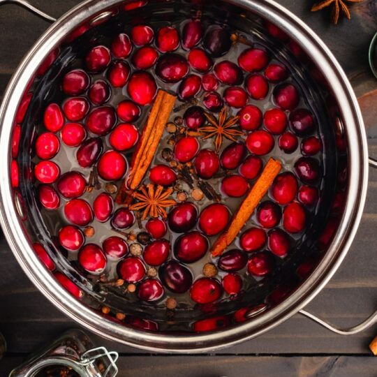 Cozy All-Natural Simmer Pots for Fall and Winter