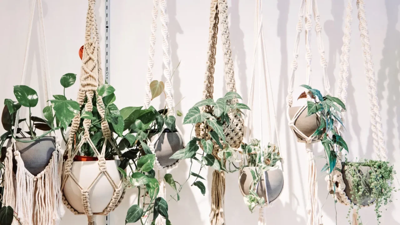 a row of hanging plants in bonehmian boho macrame plant