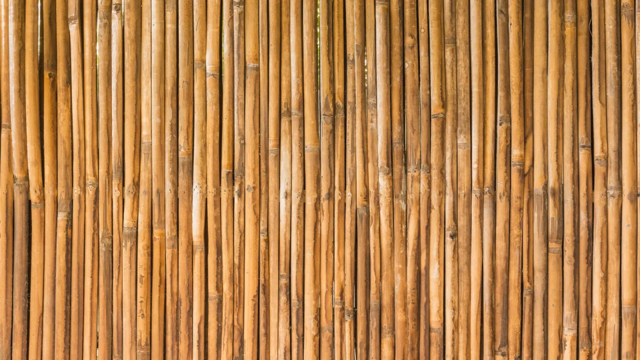 Bamboo wood of fence wall background.